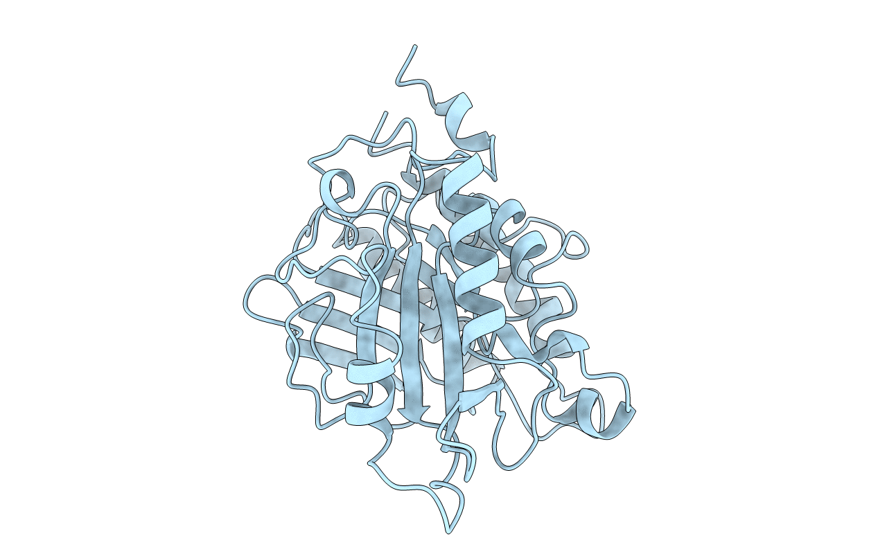 4PTD image