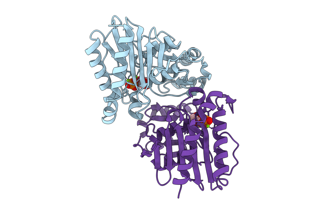 4PTK image