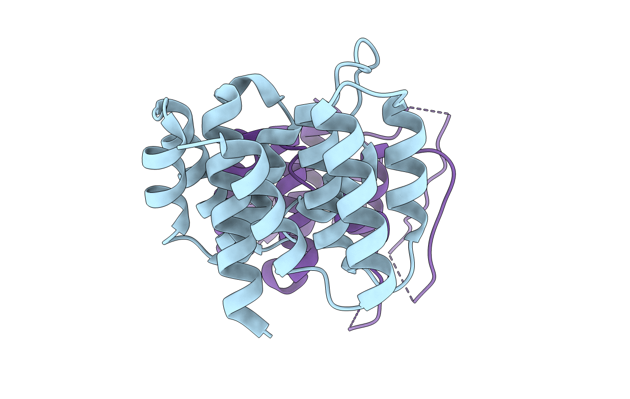 4PUS image