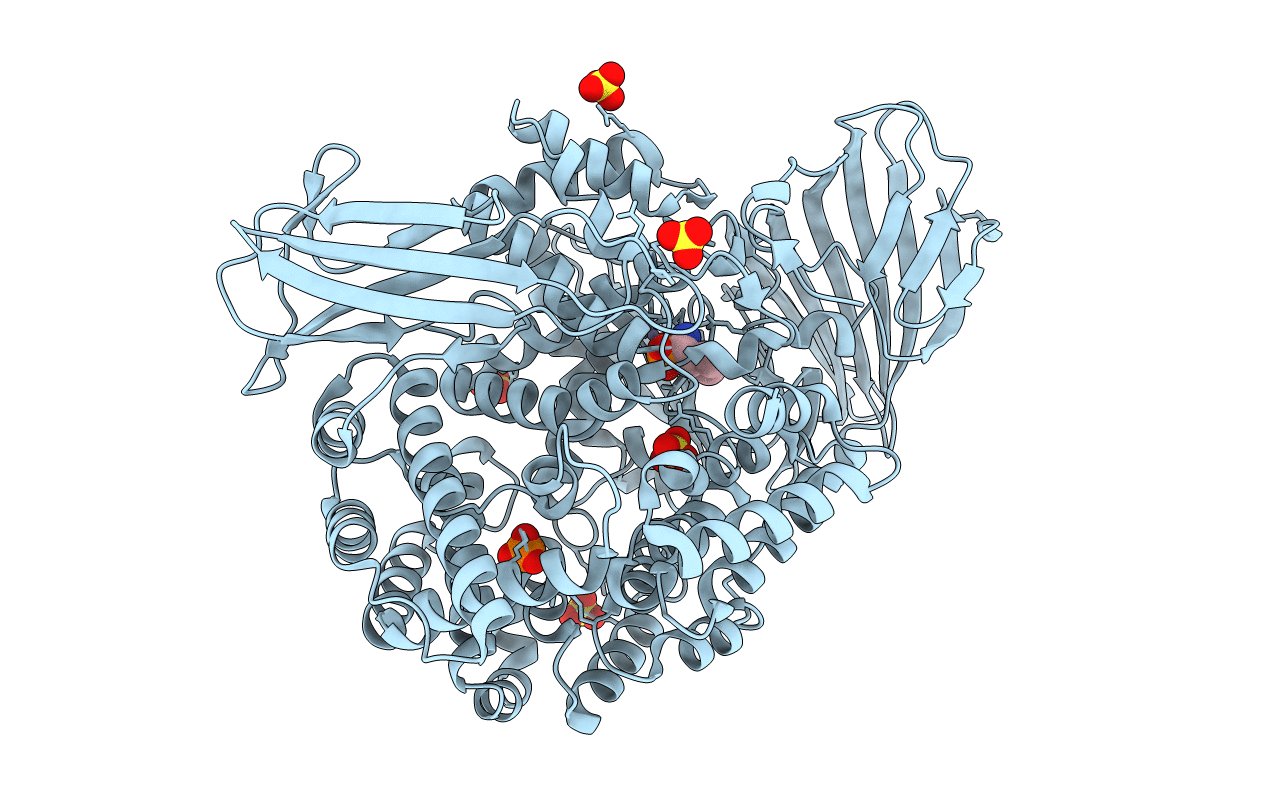 4PVB image