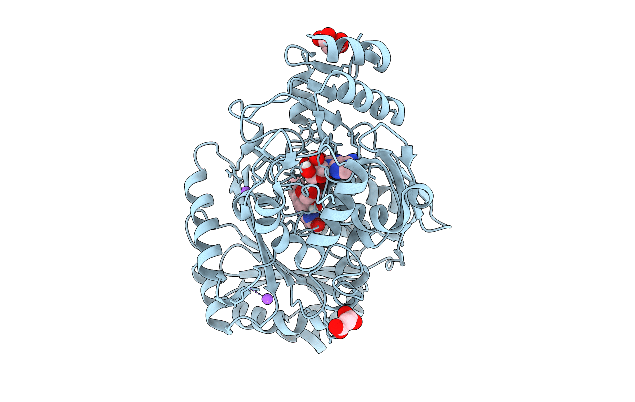 4PVH image