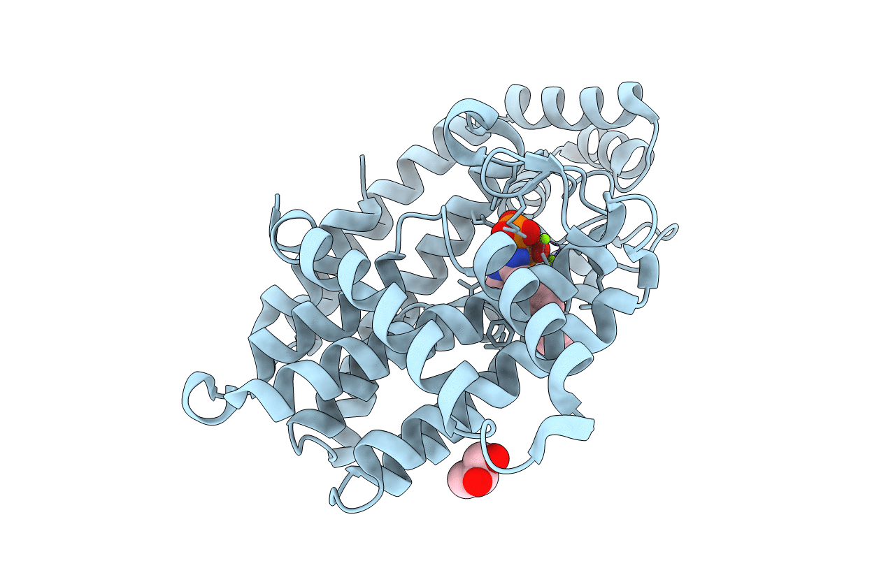 4PVX image