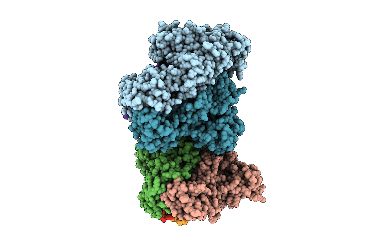 4PWD image