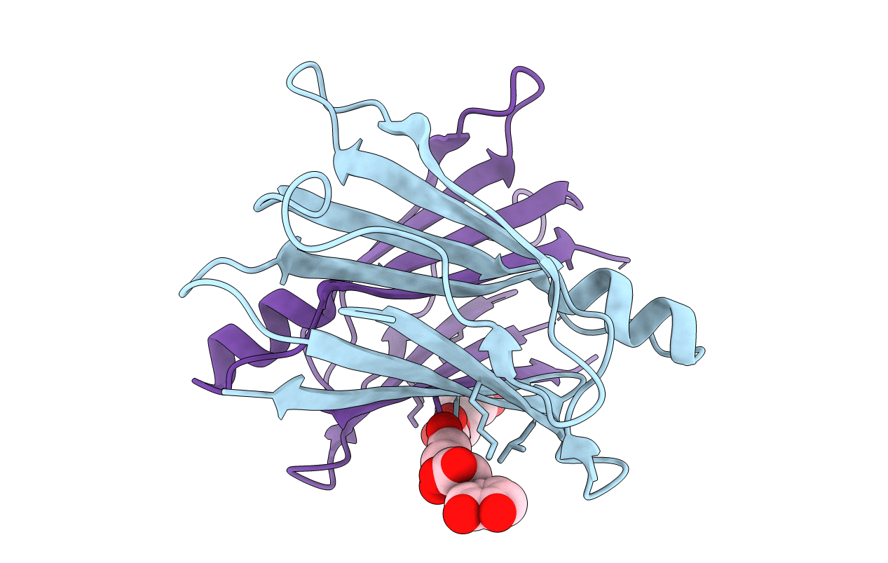 4PWI image