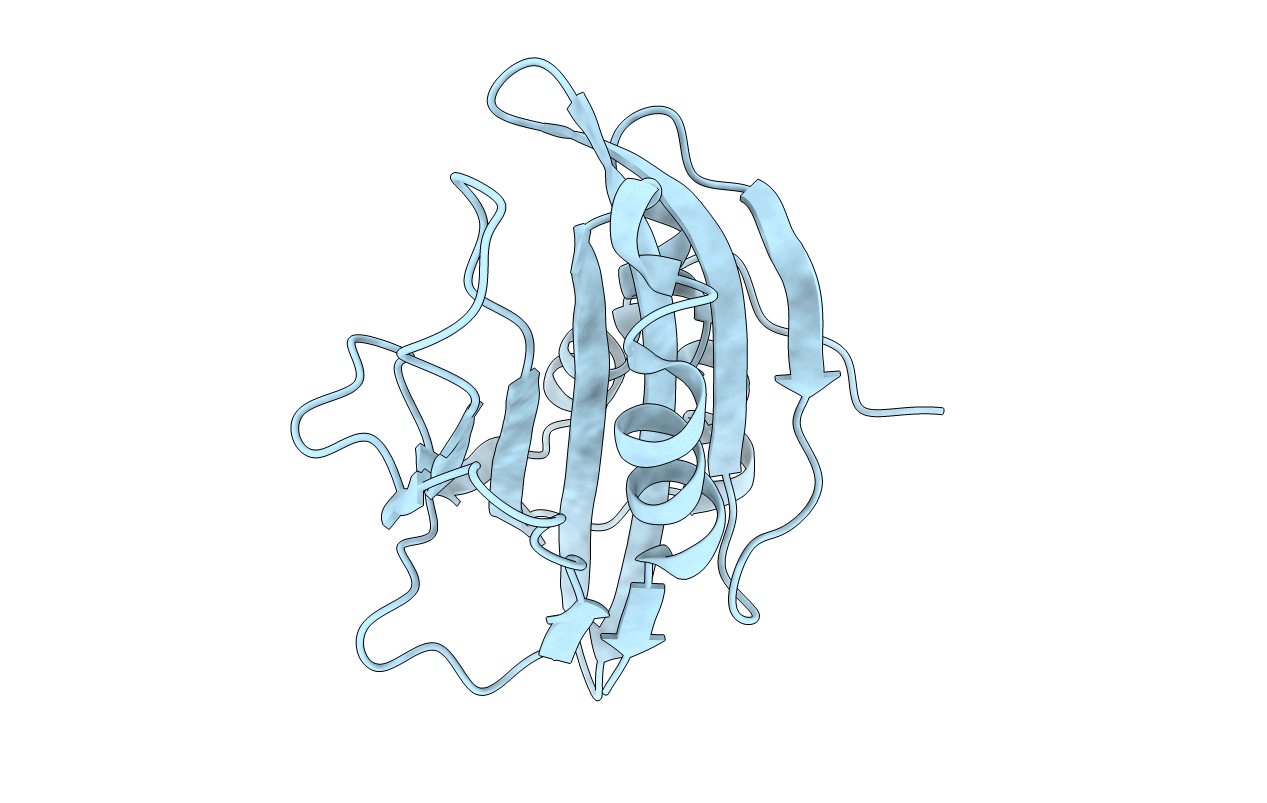 4PWS image