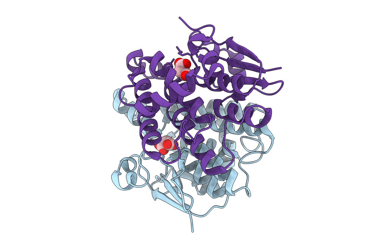 4PX1 image