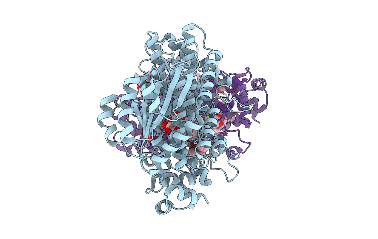 4PX2 image
