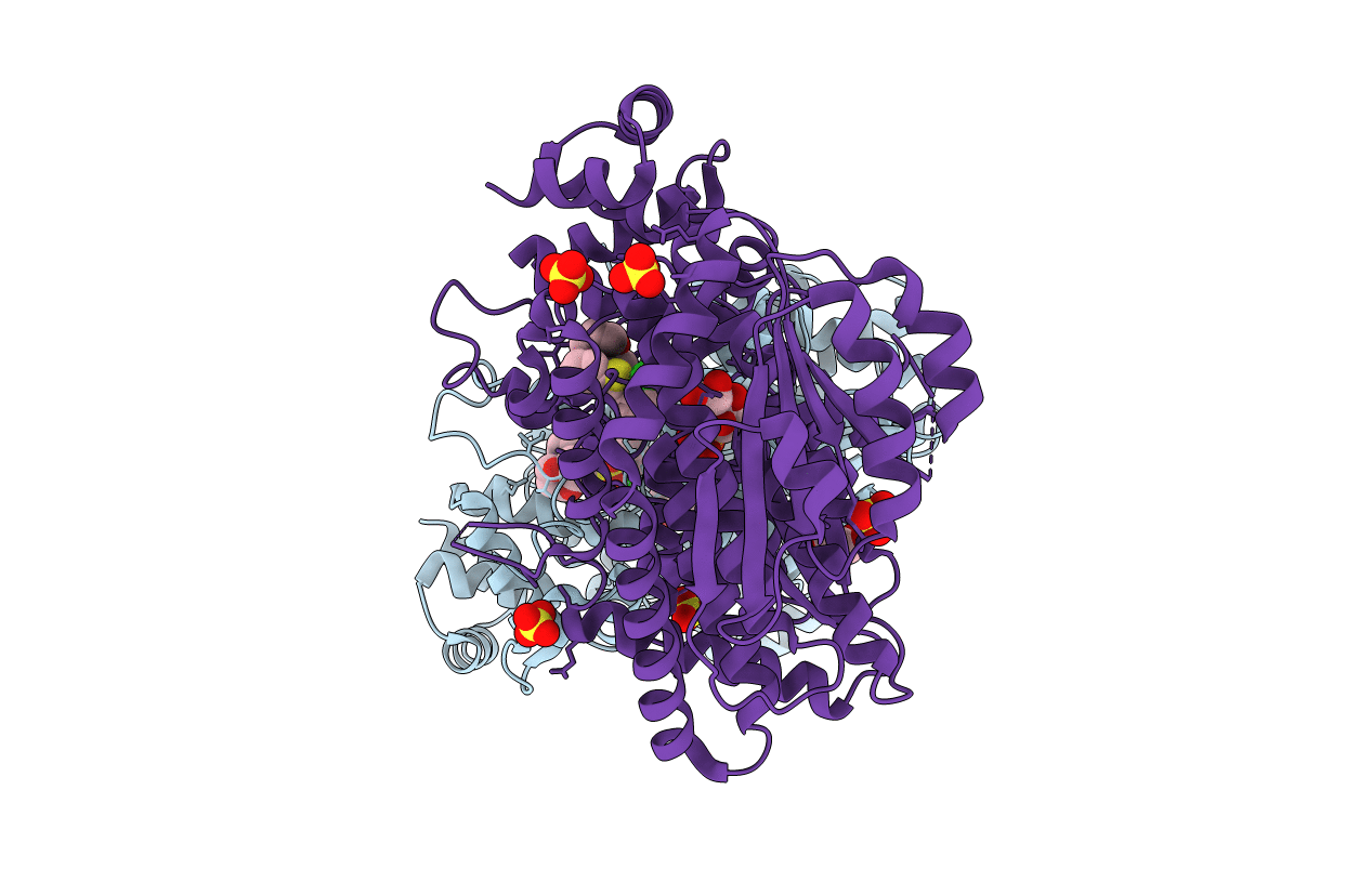 4PX3 image