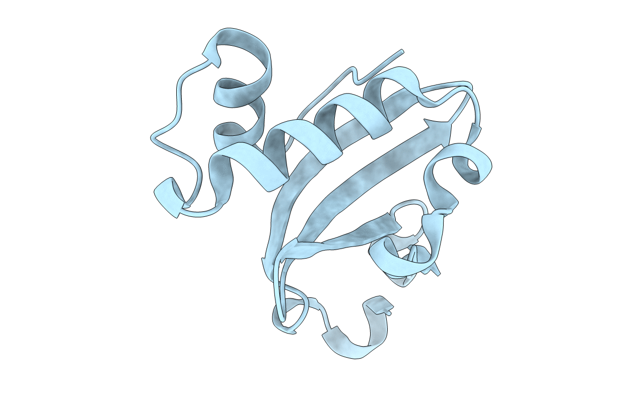 4PX8 image