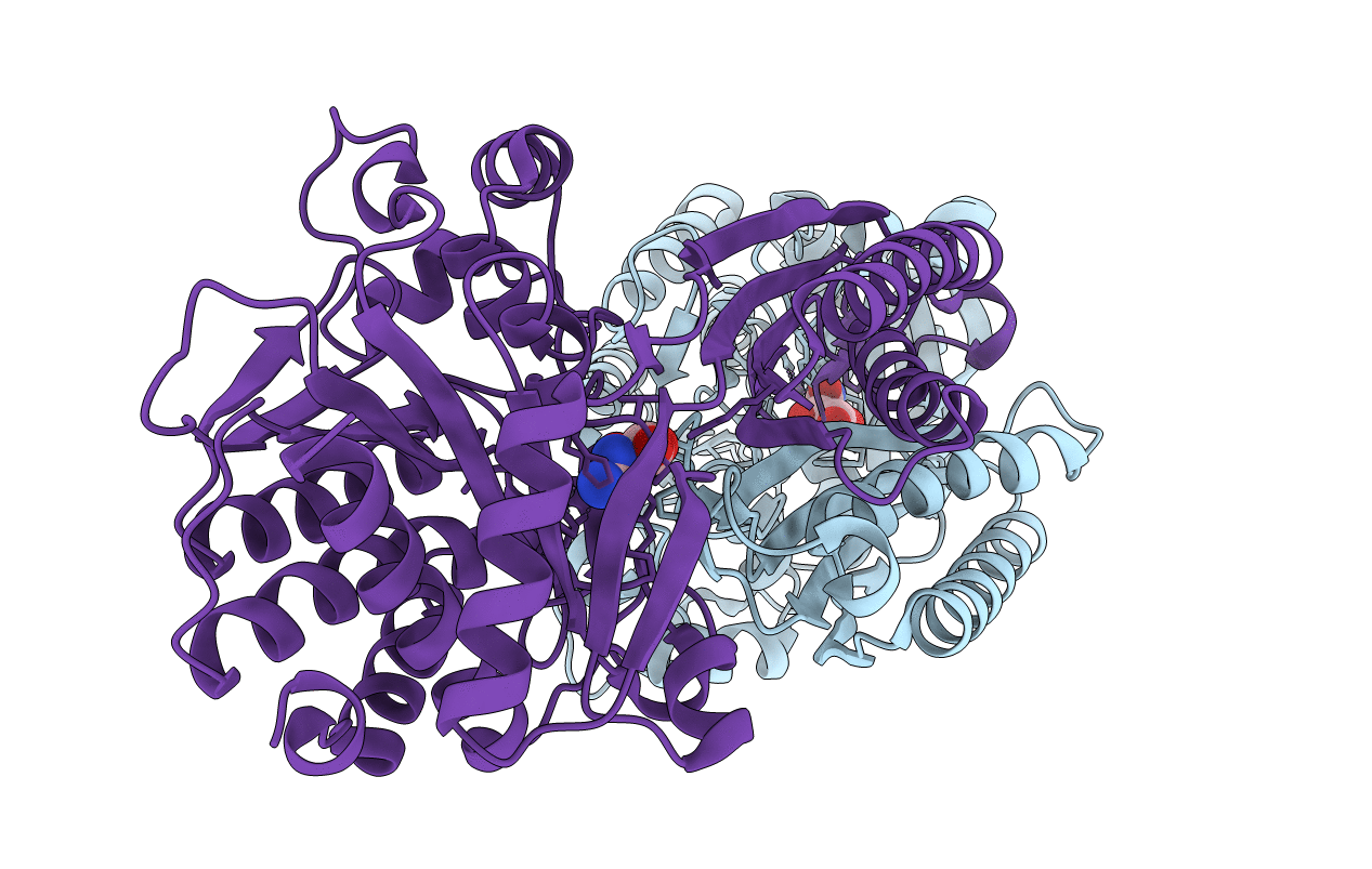 4PXB image