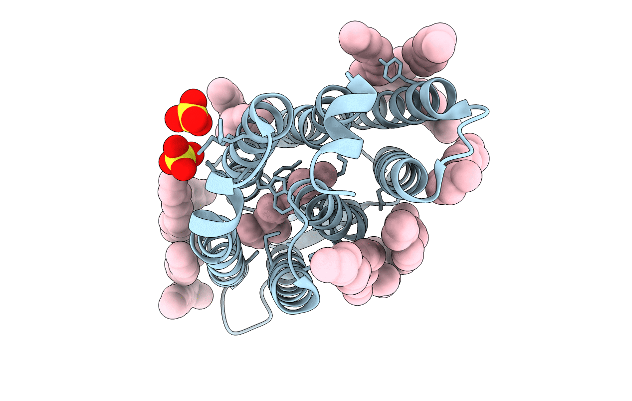 4PXK image