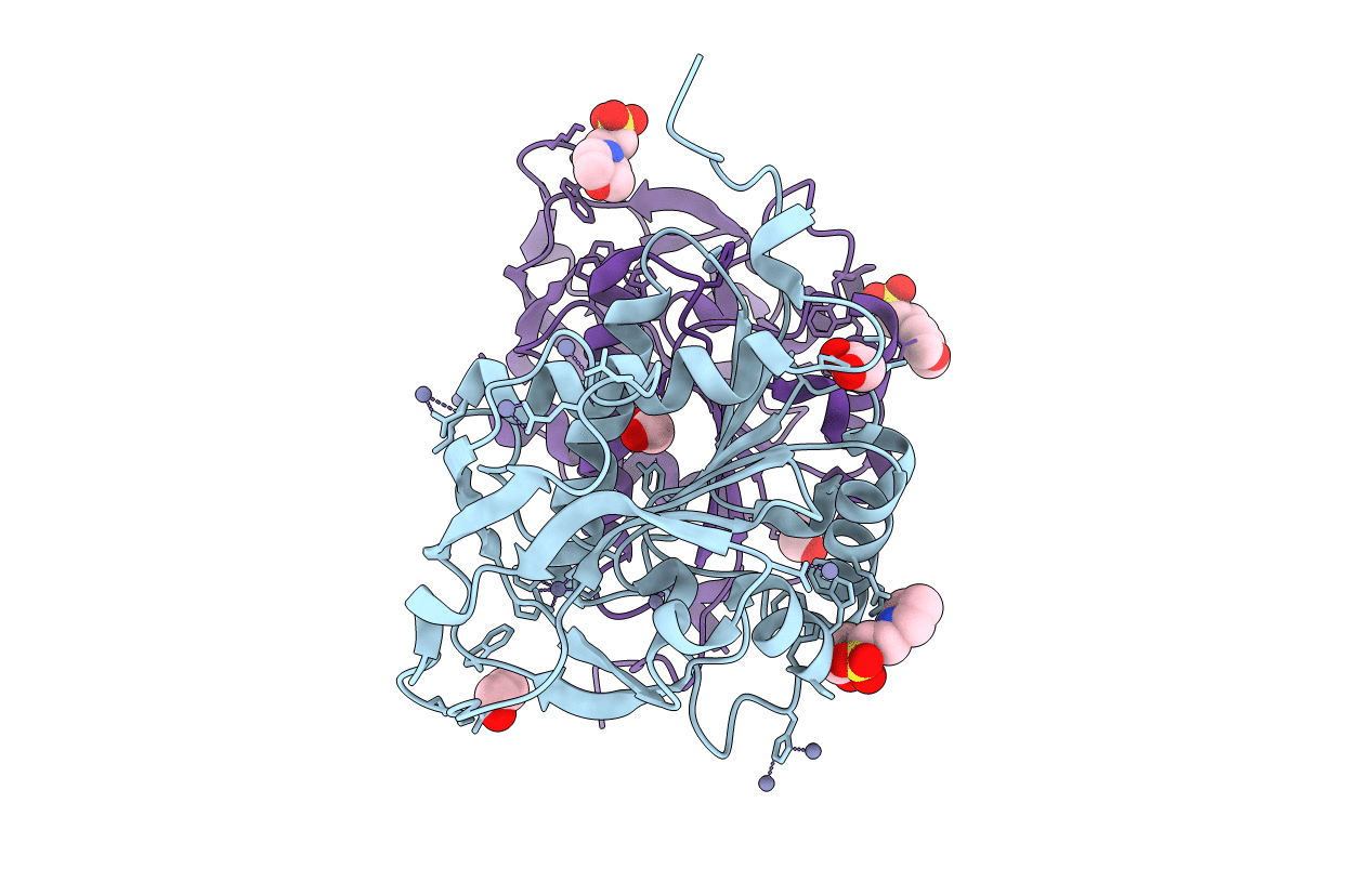 4PXY image