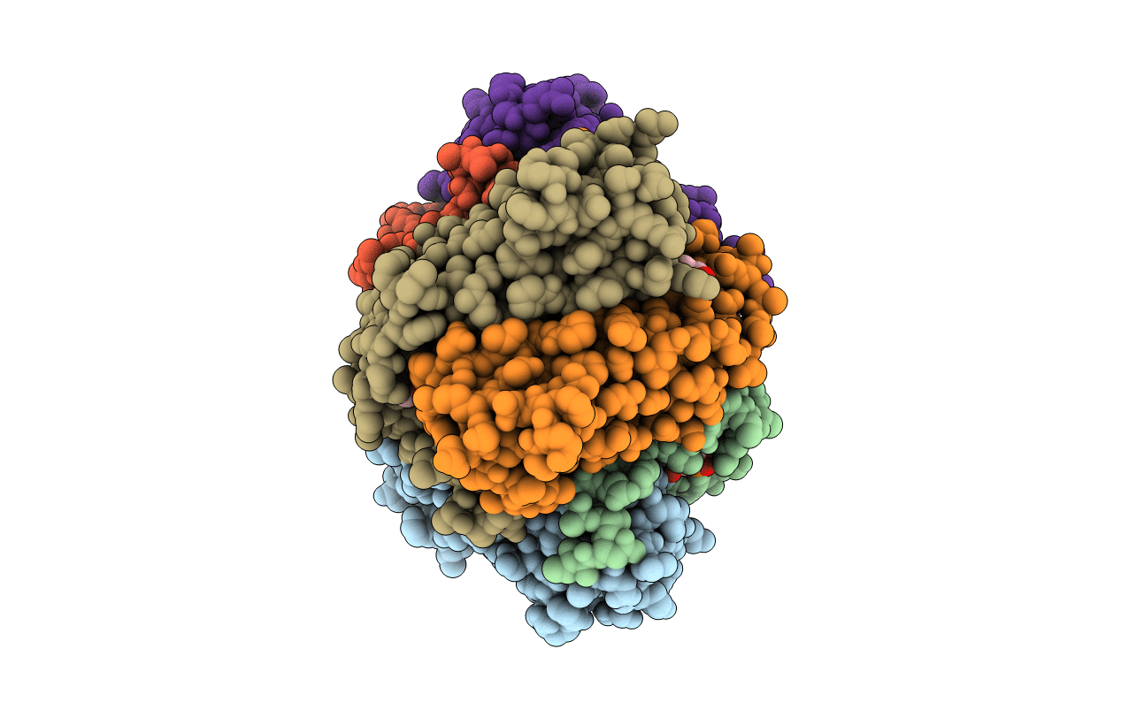 4PYD image