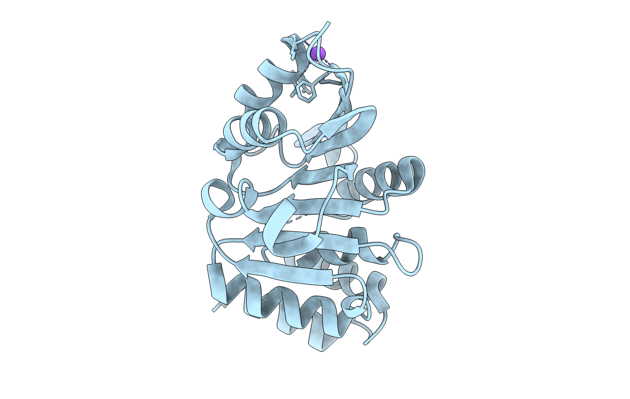 4PYI image