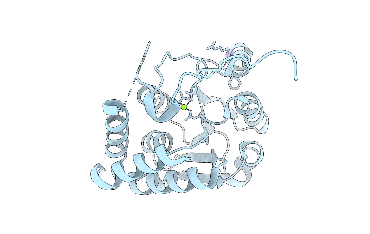4PYJ image