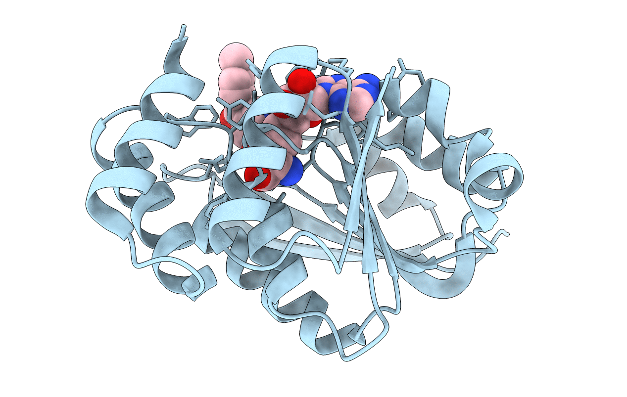 4PYL image