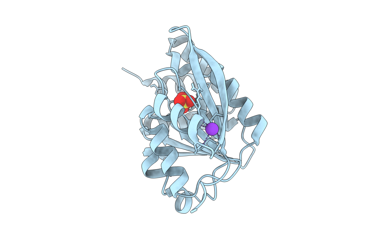 4PYM image