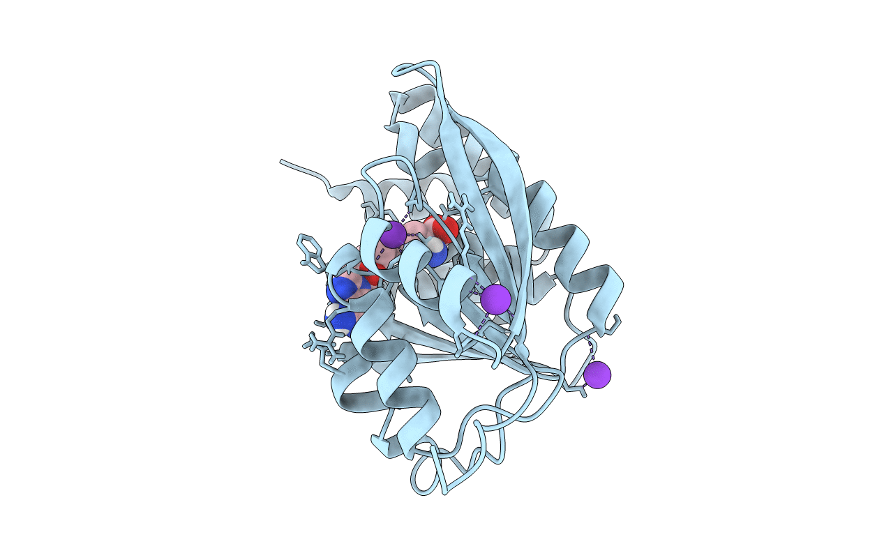 4PYN image
