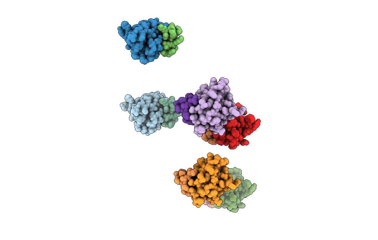 4PYU image