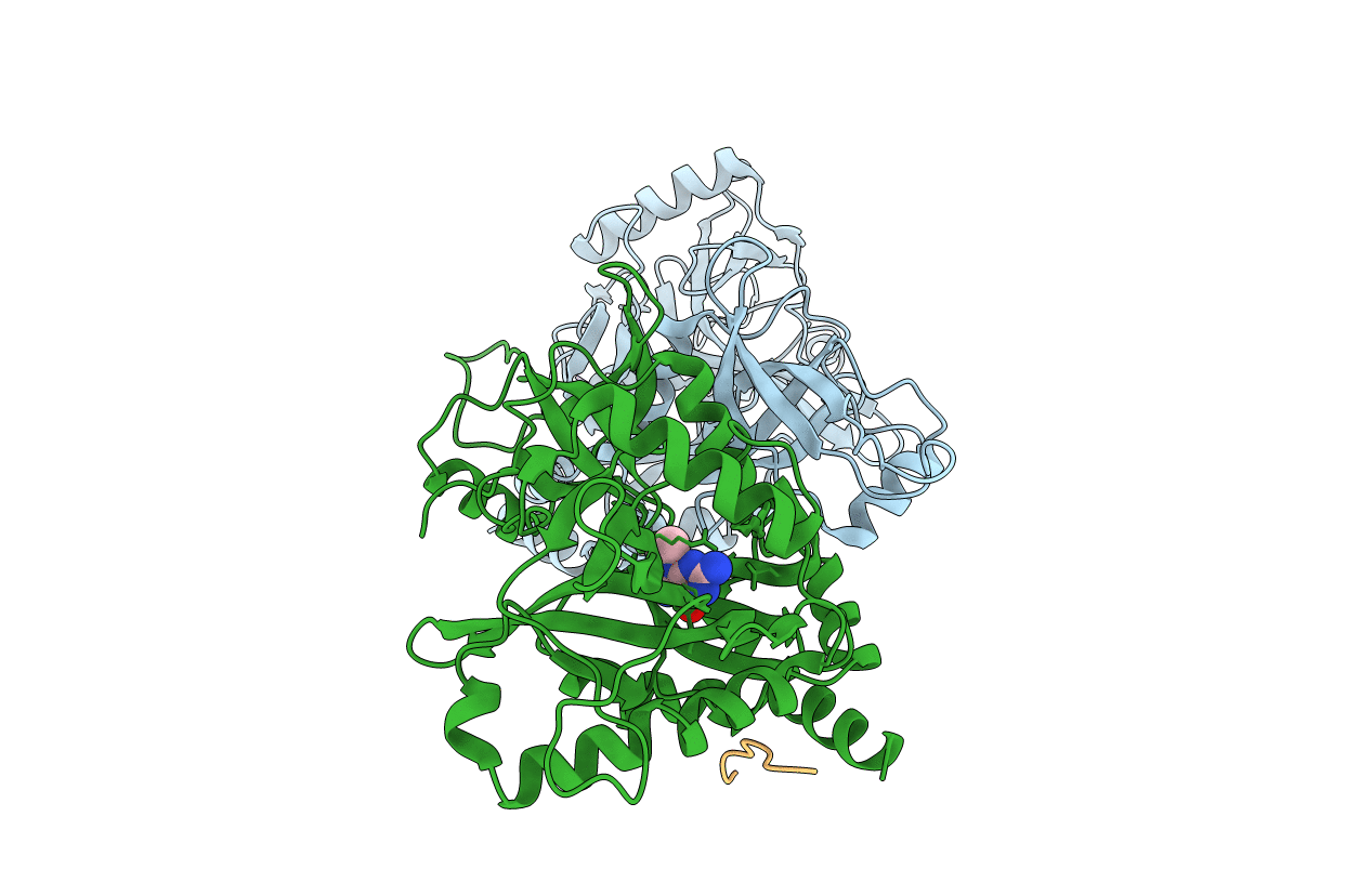 4PZ6 image