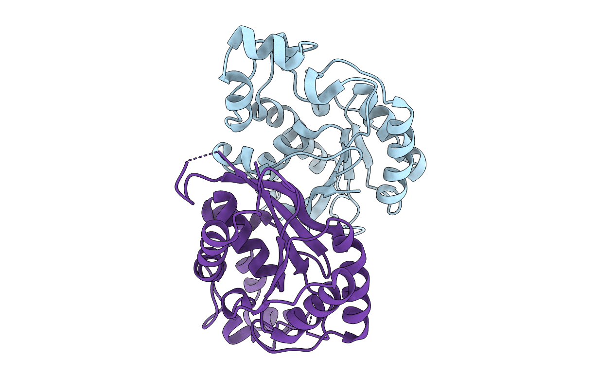 4PZ9 image