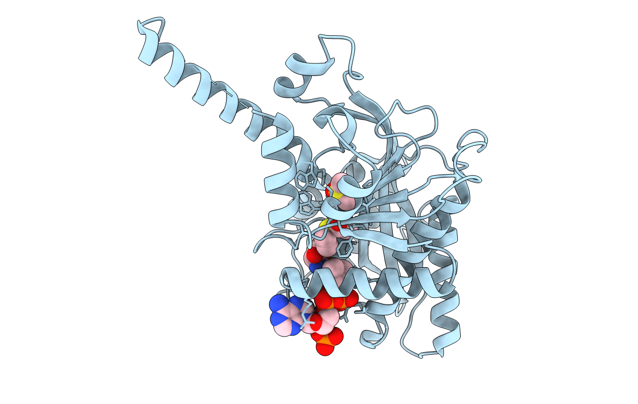4PZS image