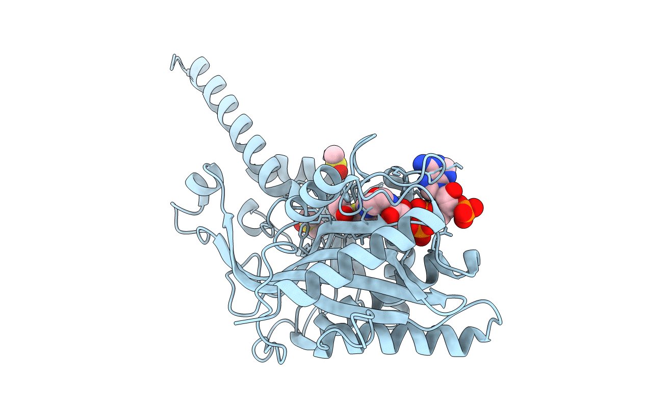 4PZT image
