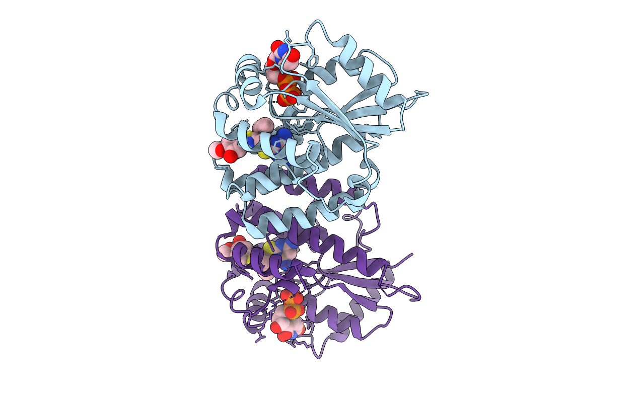 4Q19 image