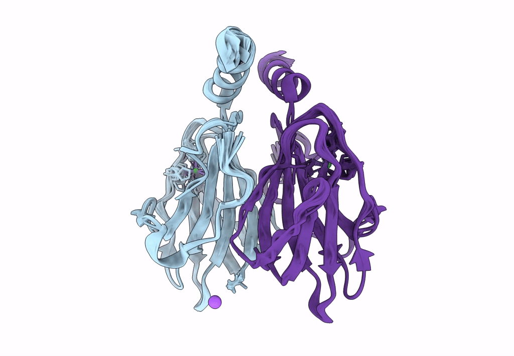 4Q29 image