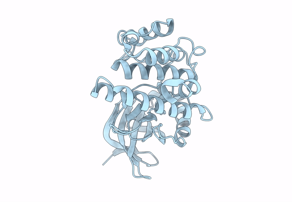 4Q2A image