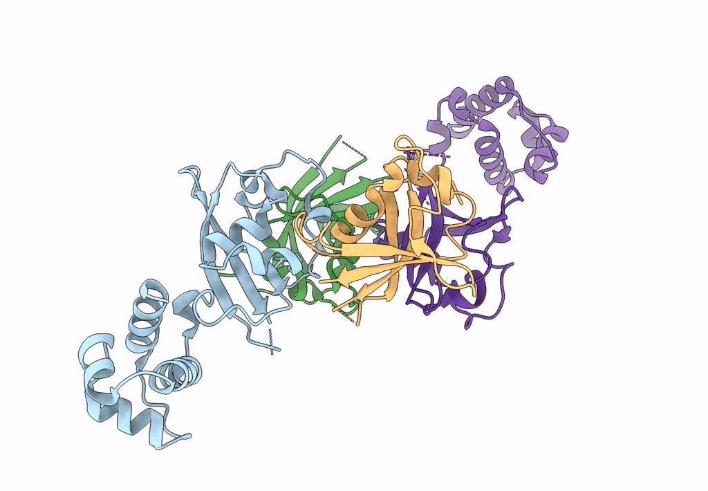 4Q2J image