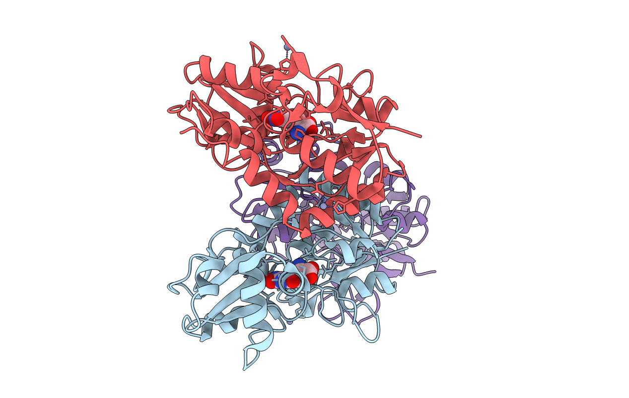 4Q30 image