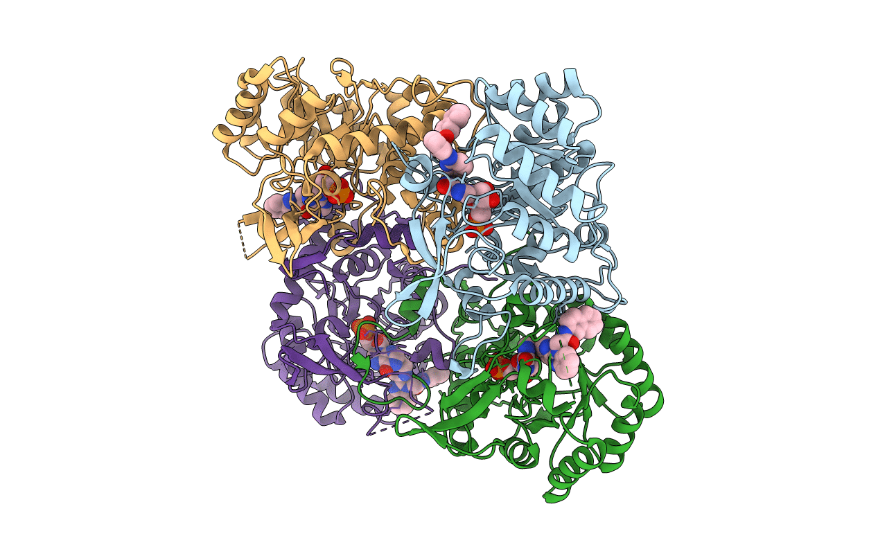 4Q32 image