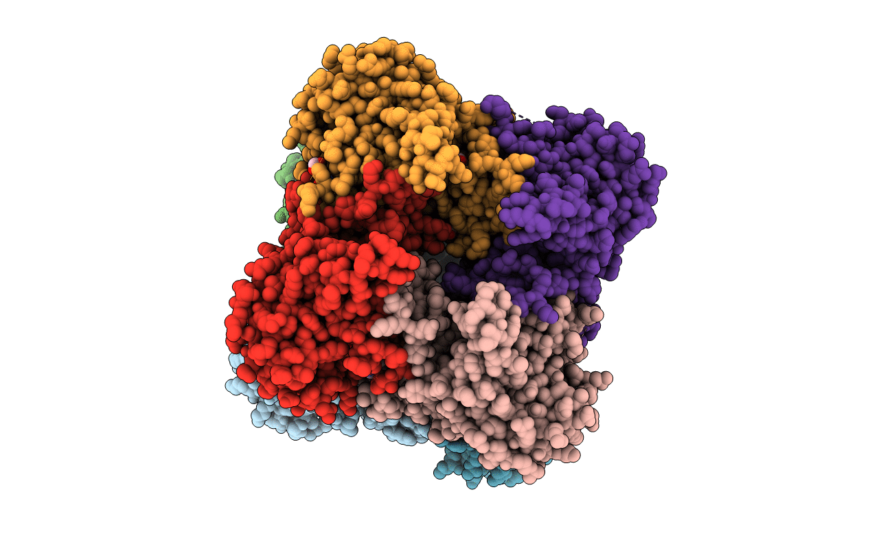4Q33 image