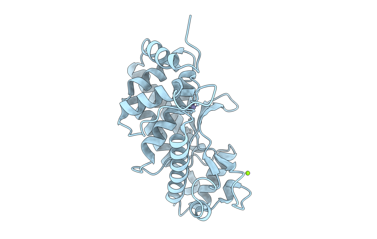 4Q3J image