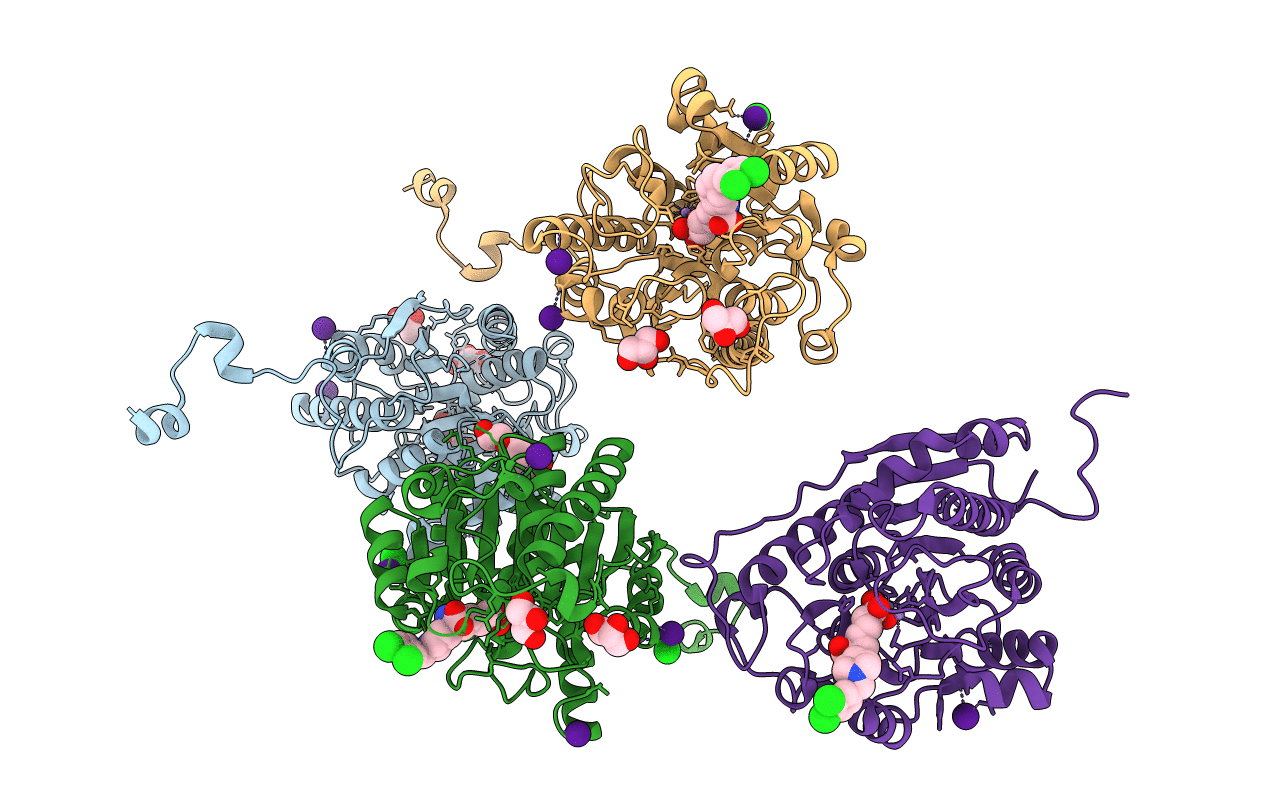 4Q3R image