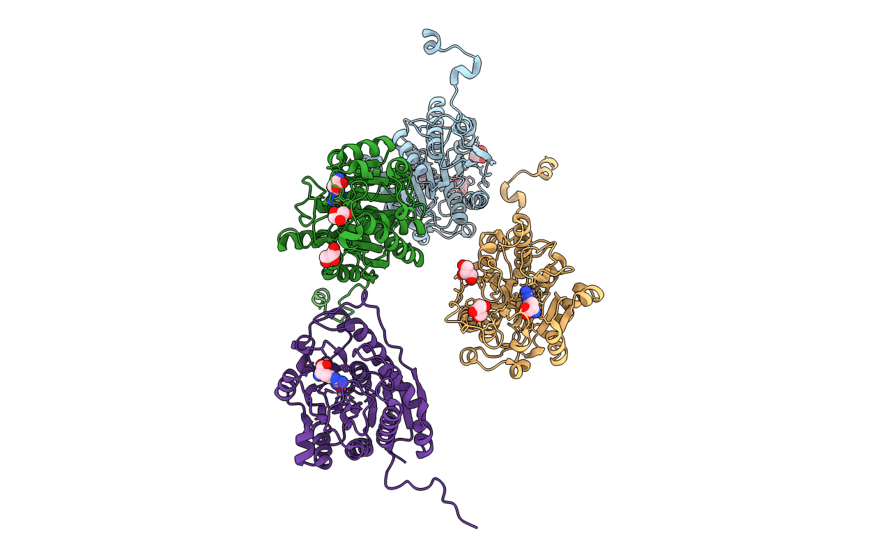 4Q3U image