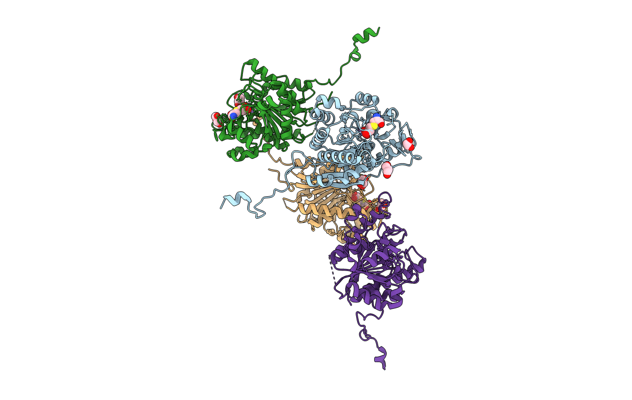 4Q3V image