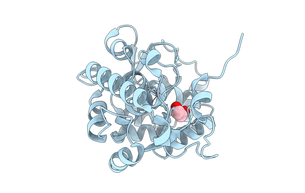 4Q3W image