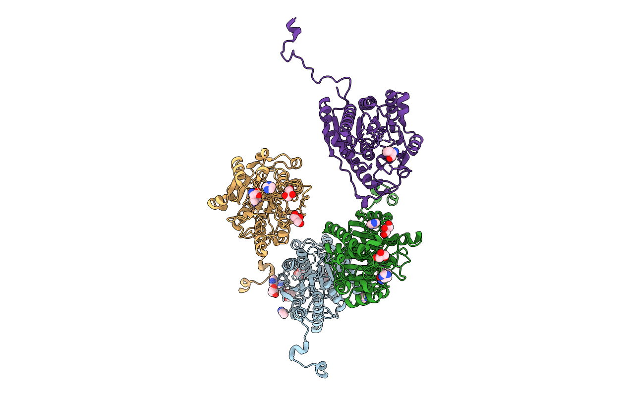 4Q40 image