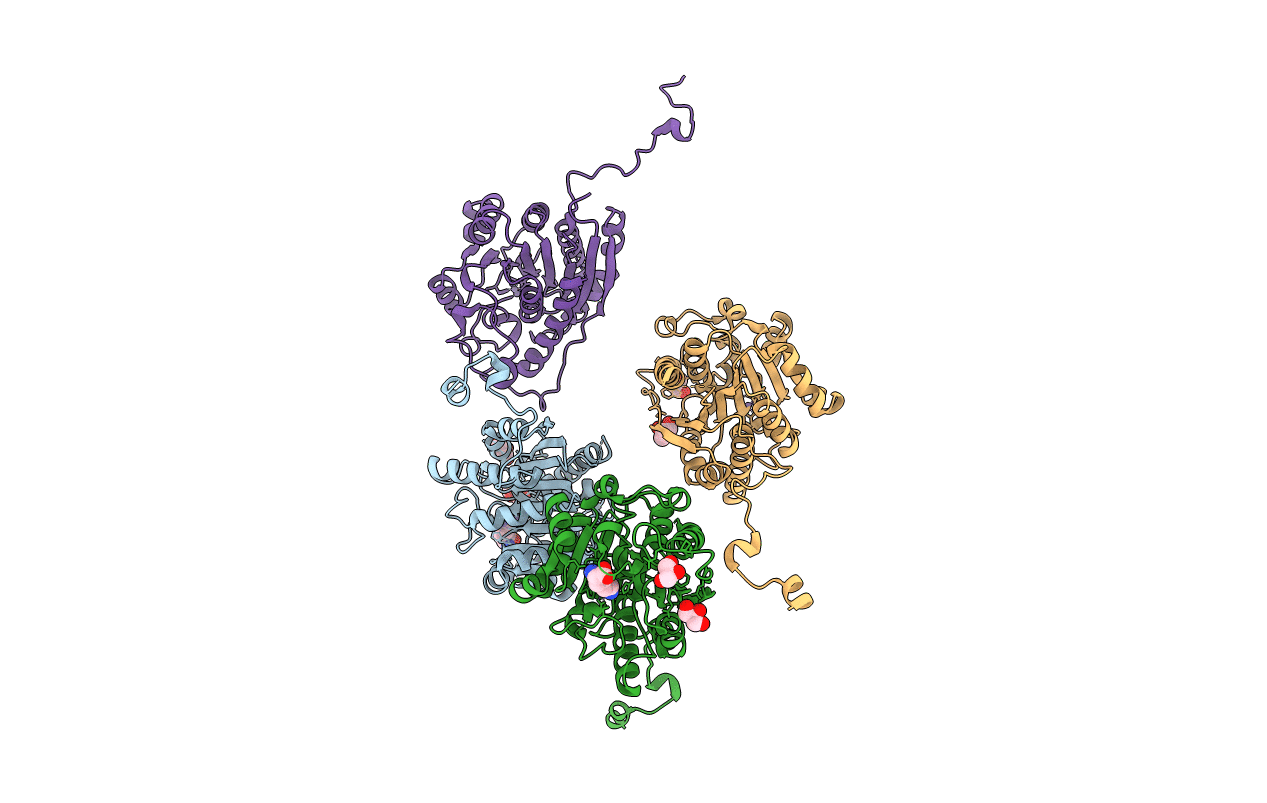 4Q41 image
