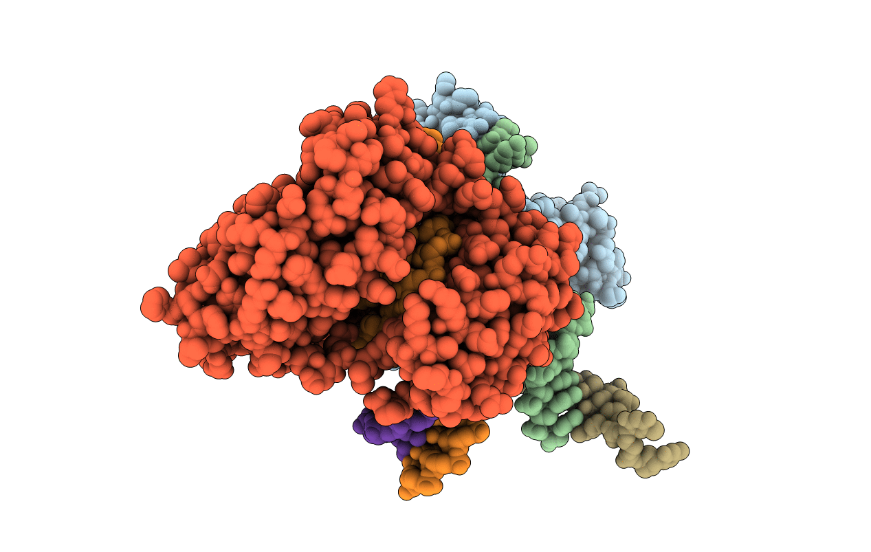 4Q45 image