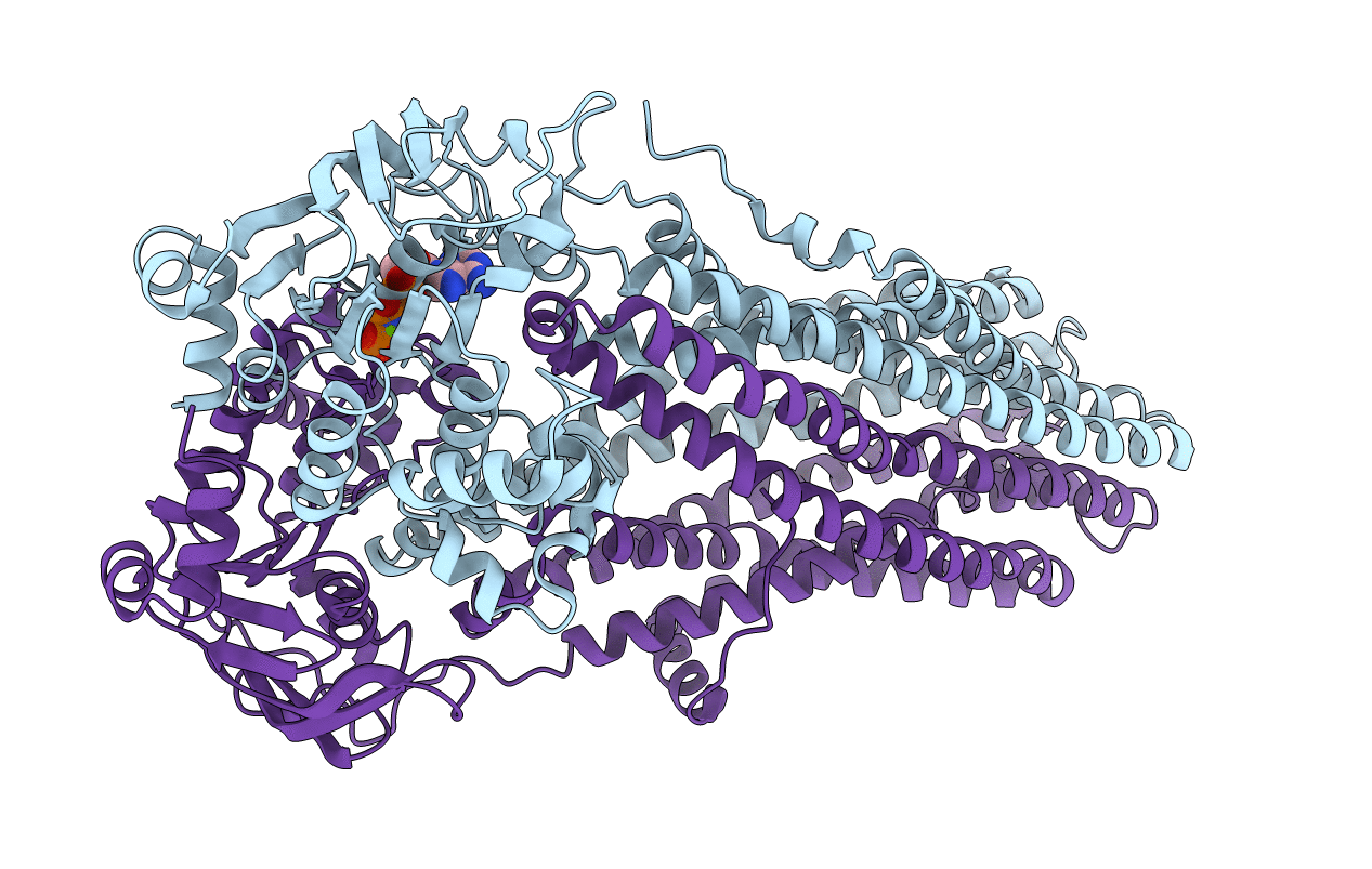 4Q4A image
