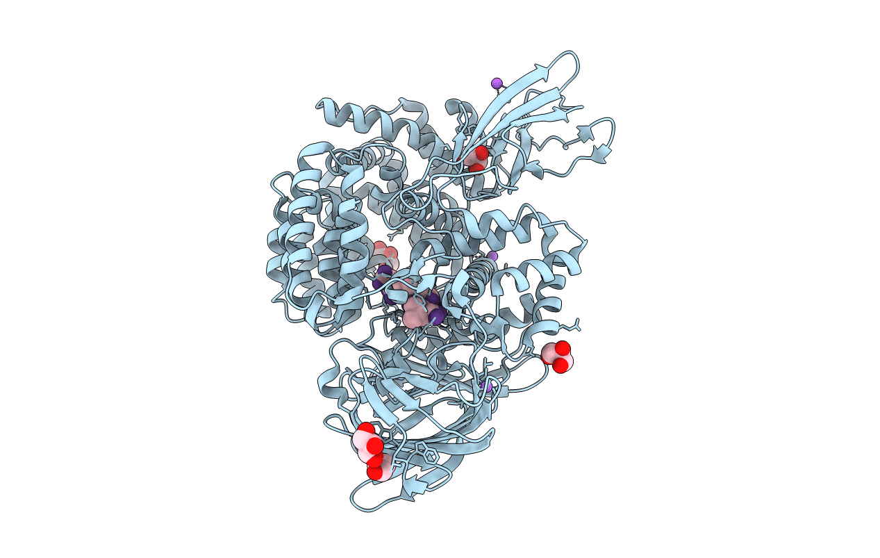4Q4I image