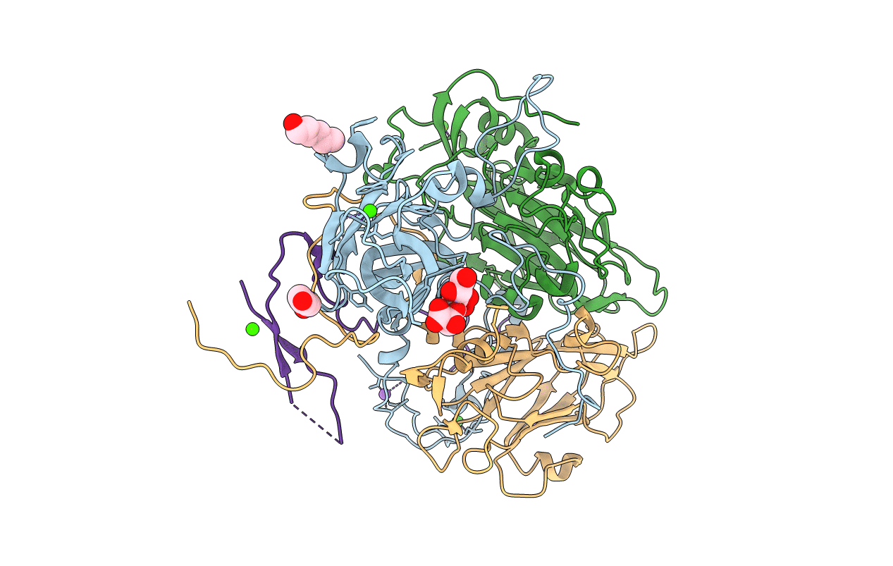 4Q4X image