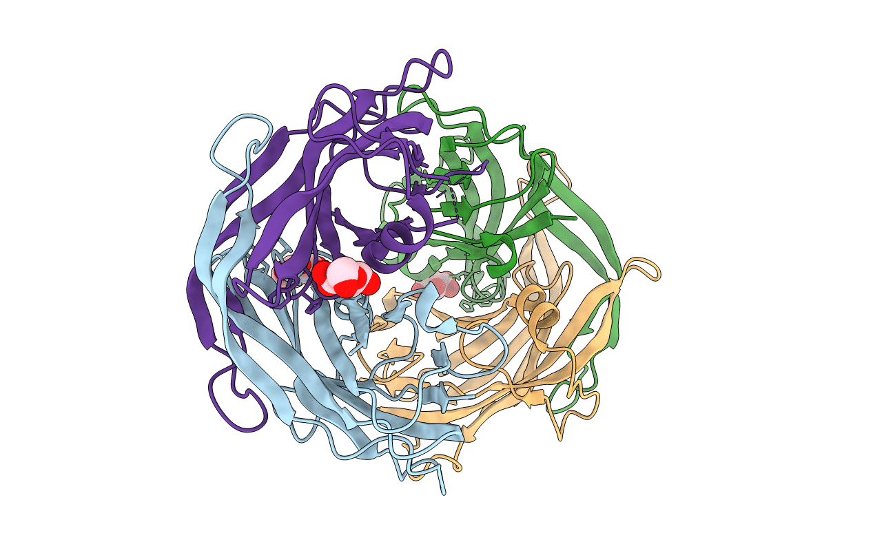 4Q52 image