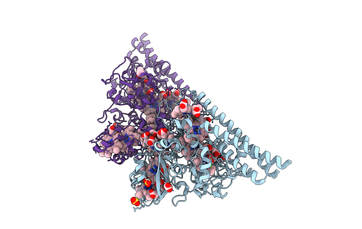 4Q5B image