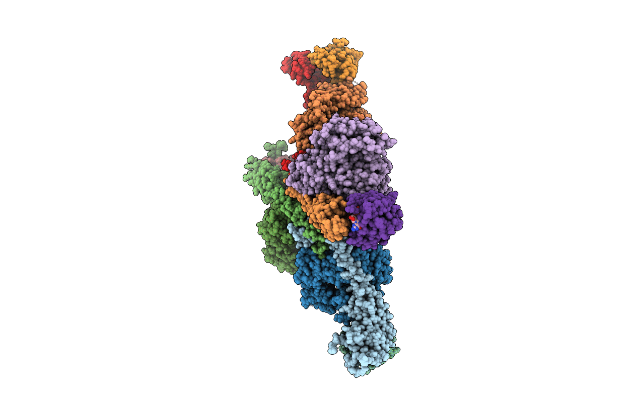 4Q66 image