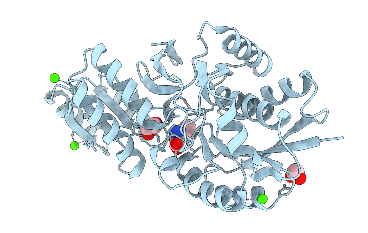 4Q6B image