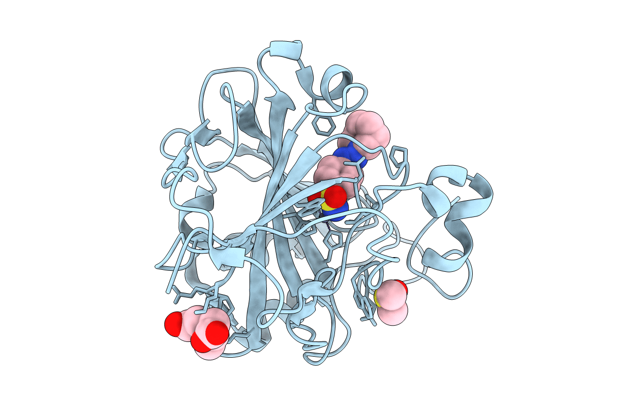 4Q6D image